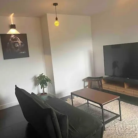 Apartman Cocooning Jacuzzi Et Place De Parking Prive Dardilly