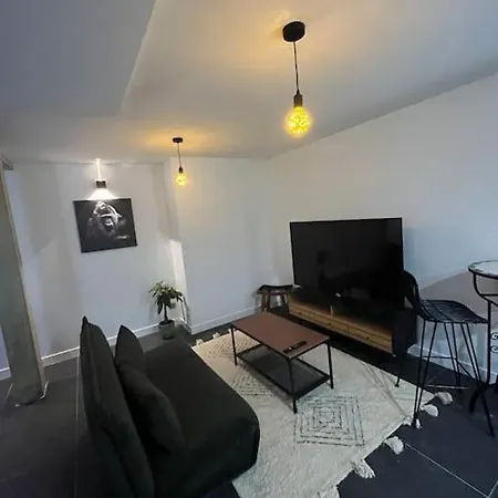 Apartman Cocooning Jacuzzi Et Place De Parking Prive Dardilly